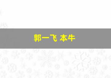 郭一飞 本牛